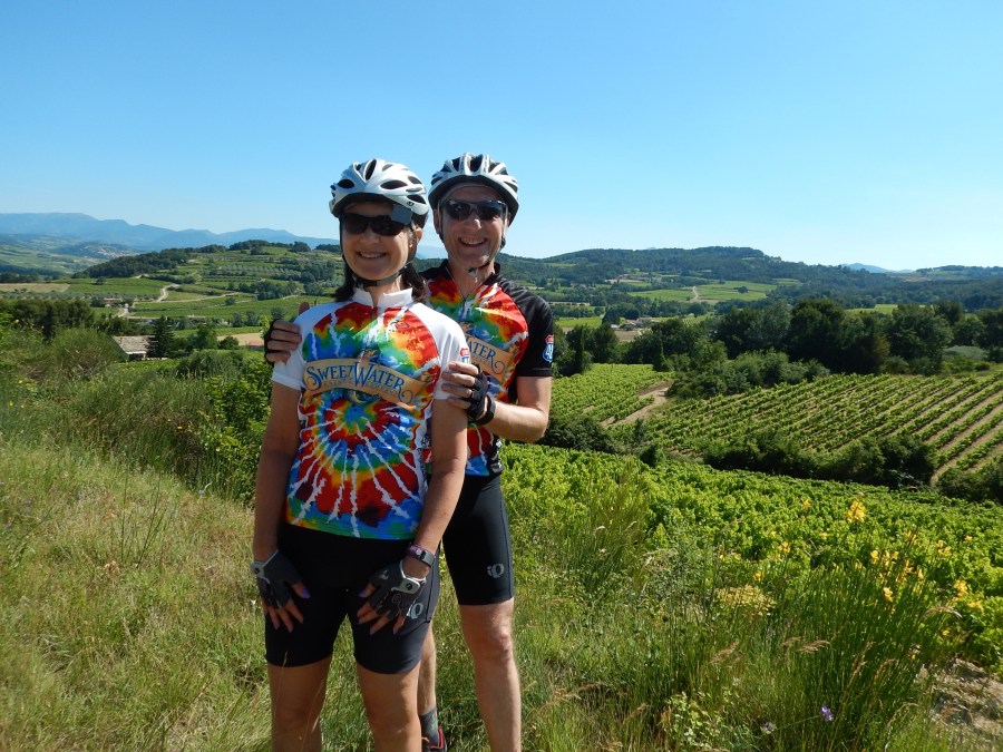 grape vines, olives trees and mountains