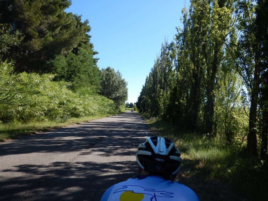 really loud in this type of foliage