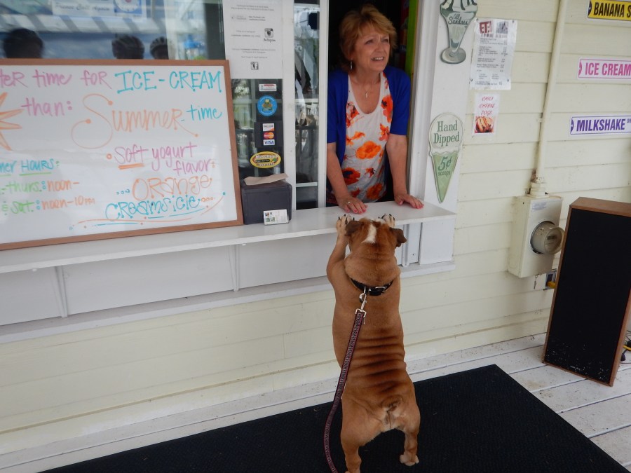 everyone likes ice cream!