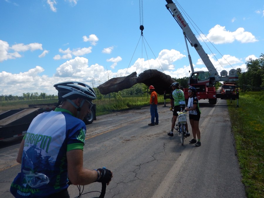 the detour only cost us about a mile and a half