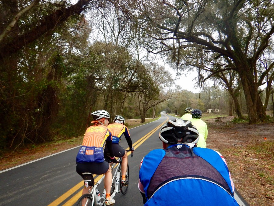 We had a terrific metric century with Greg, Ang, Andrew and Ally.