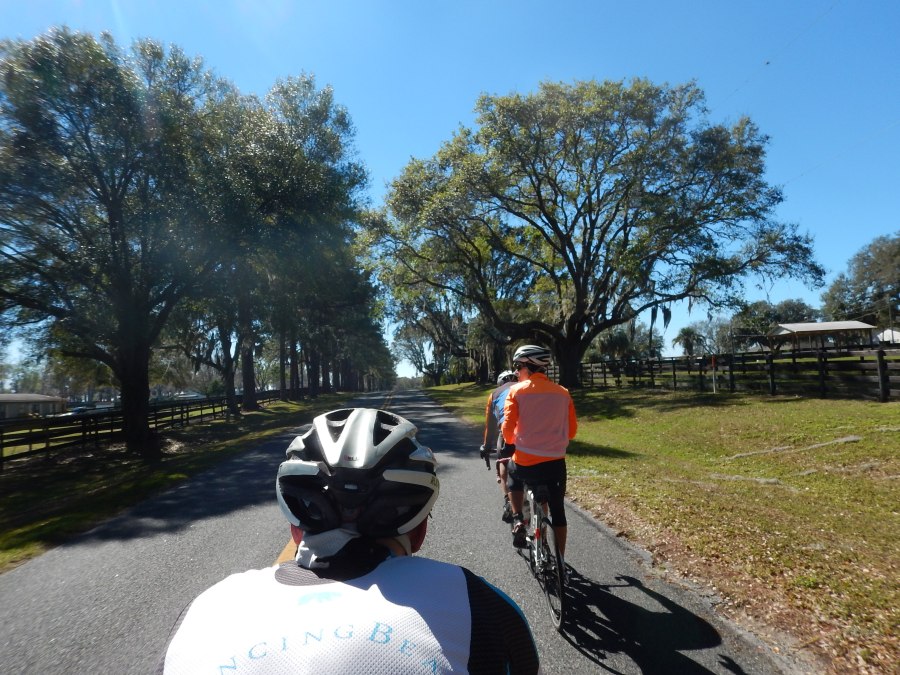 Hoofin' it in horse country with the Hendys.