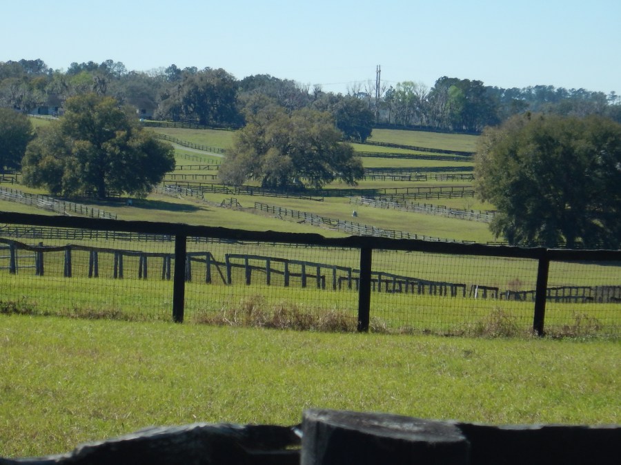 Who paints these fences?